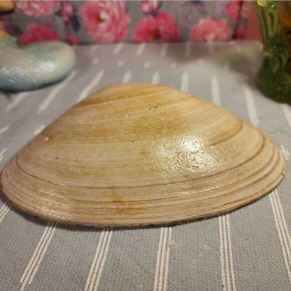 DECOUPAGE CLAM SHELL DECOUPAGE FLOWERS TRINKET DISH - Picture 8 of 8